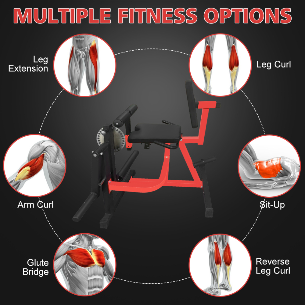 Máquina Ajustável para Extensã - Home Gym Leg Extension Machine avaliação e preço