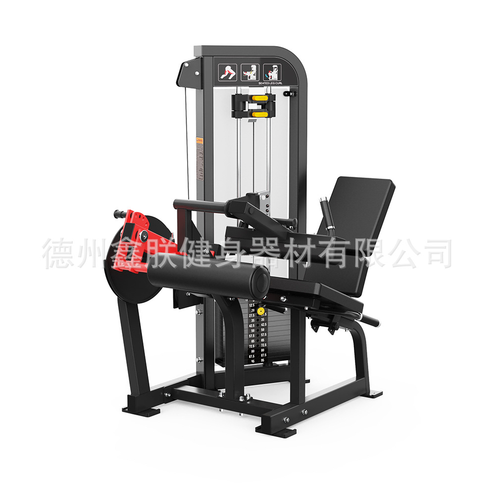 Conjunto de Equipamentos de Fo - Home Gym Leg Extension Machine avaliação e preço