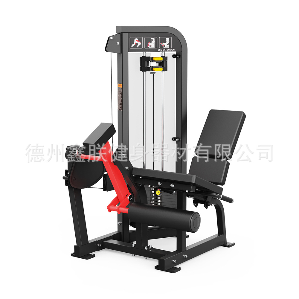 Conjunto de Equipamentos de Fo - Home Gym Leg Extension Machine avaliação e preço