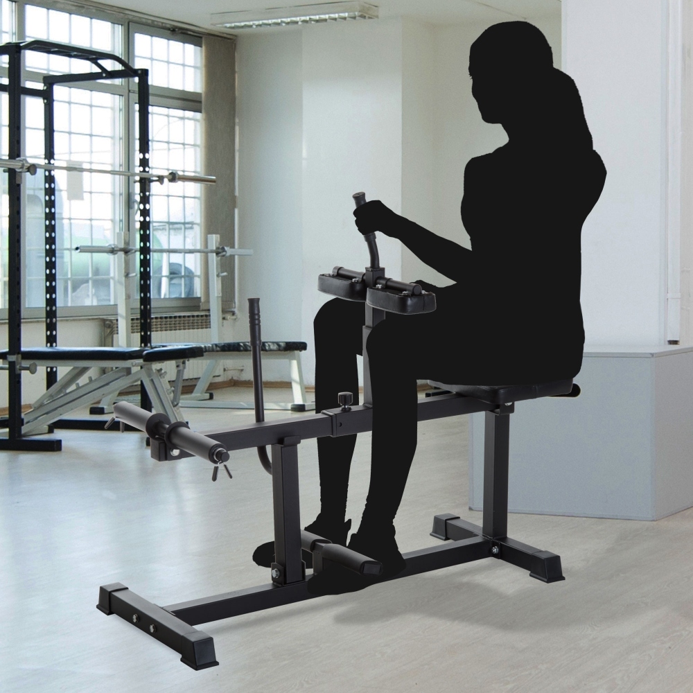 Máquina Ajustável para Elevaçã - Seated Calf Raise avaliação e preço